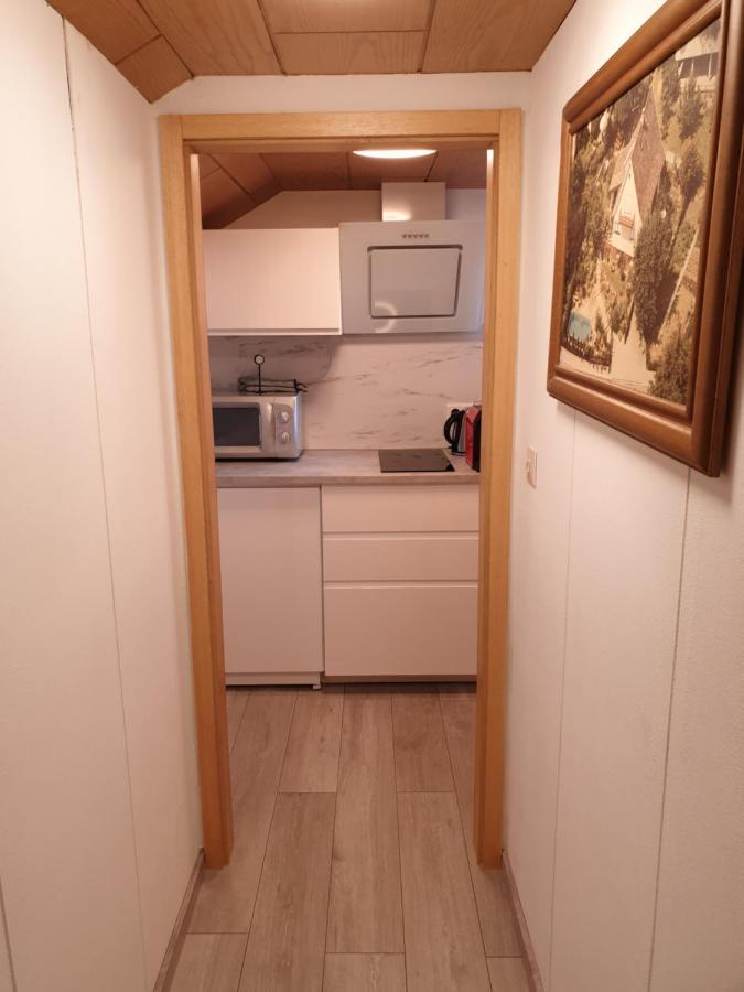 Sonnige ruhige Dachzimmer inkl WIFI plus Kaffee mit WG Dusche und neuer Küche Lörrach Exterior foto